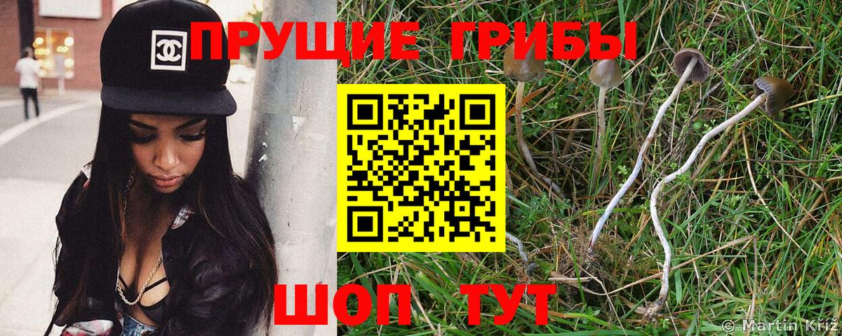 цены   Галлюциногенные грибы мицелий  Вход с VPN  Гатчина 
